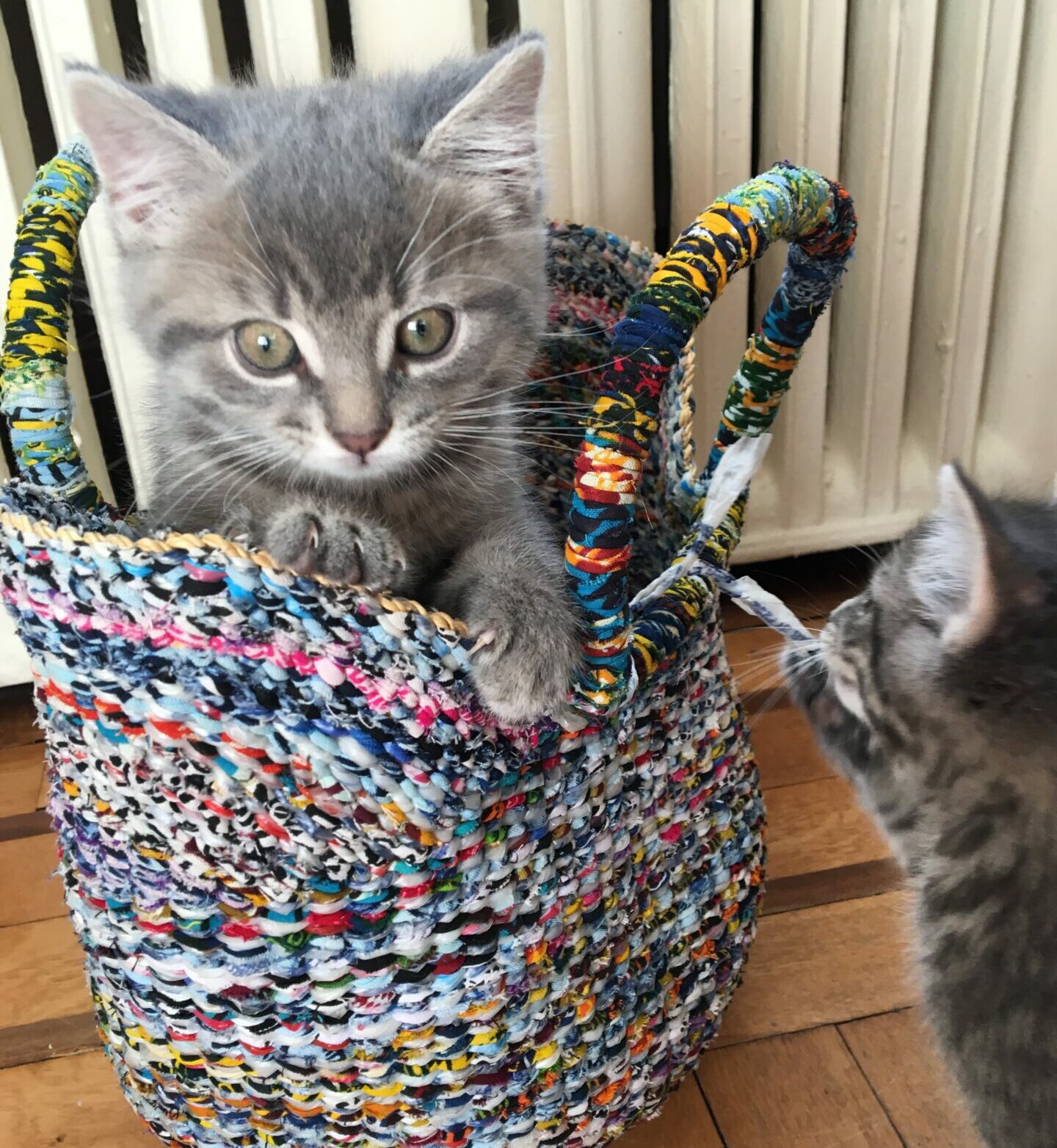 G-lish Baskets
