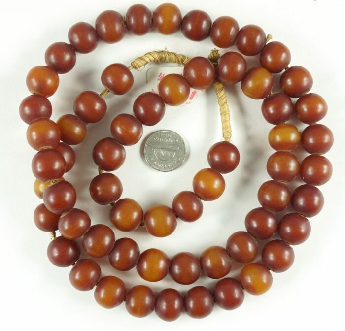 African Amber - Image 3