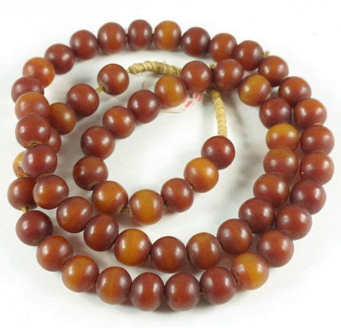 African Amber - Image 2