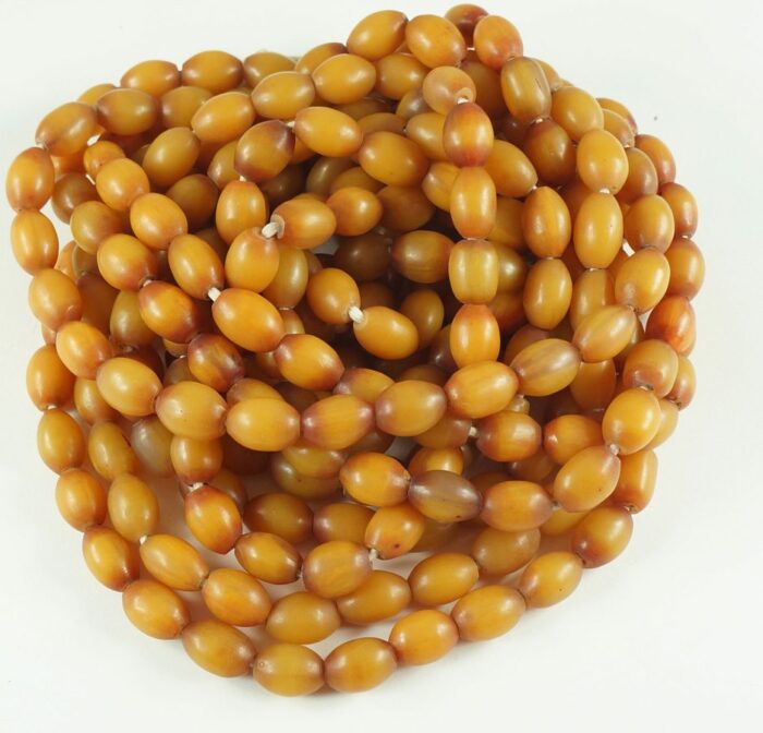 African Amber - Image 2
