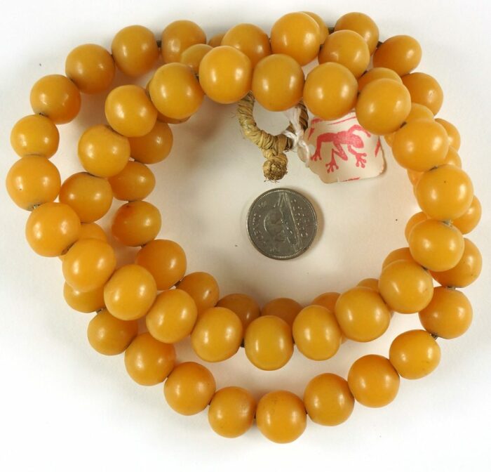 African Amber - Image 2