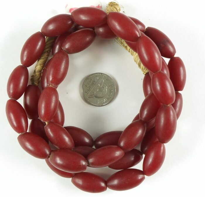 African Amber - Image 2