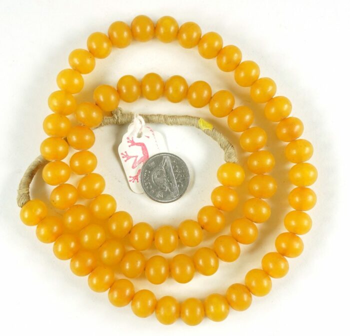 African Amber - Image 2