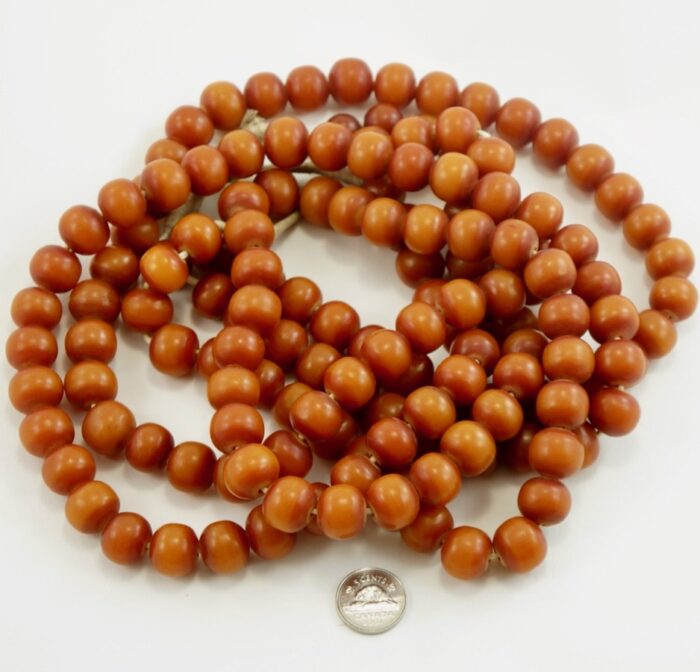 African Amber - Image 3