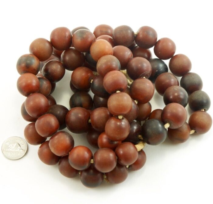 African Amber - Image 2