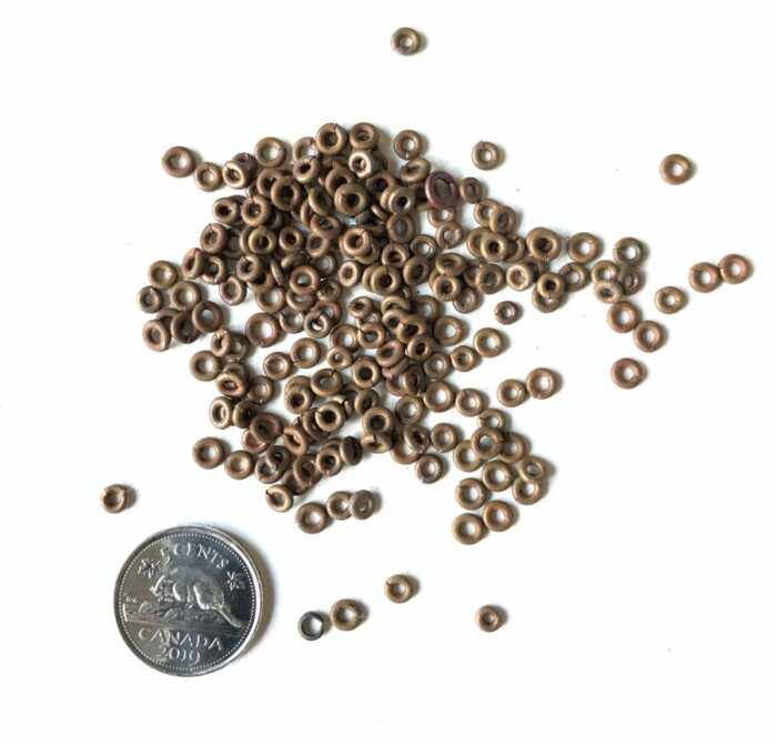 Copper Heishi 3mm - Image 2