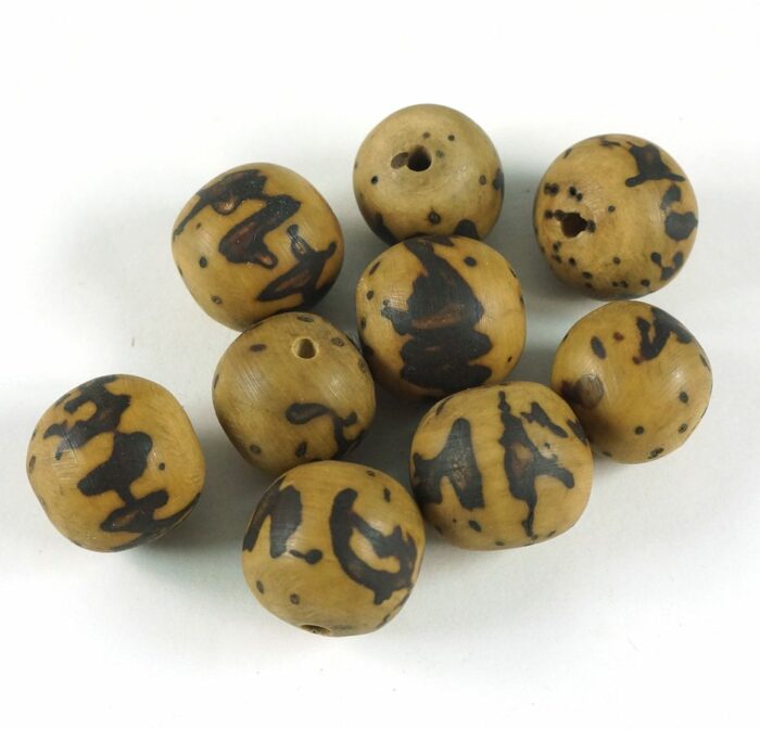 African Vegetable Ivory