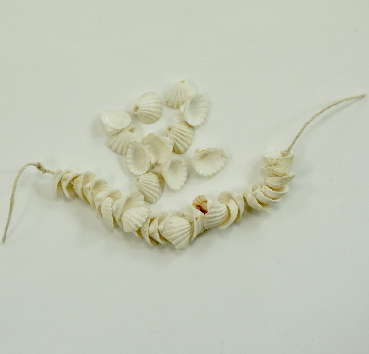 Sea Shell Beads - Image 2