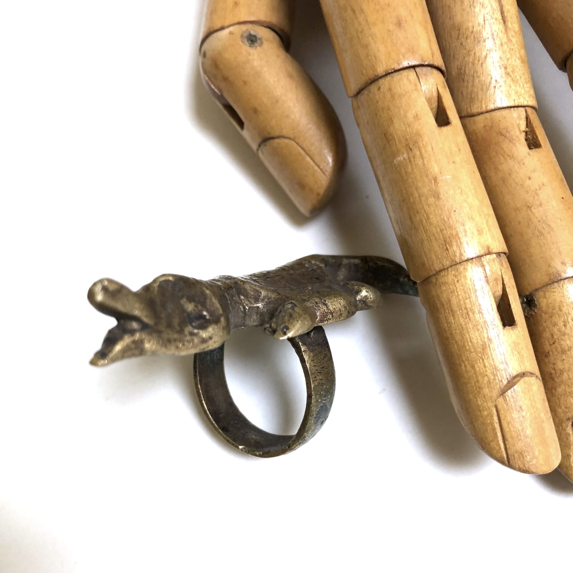Aligator ring