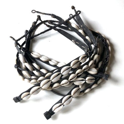 Cowrie Shell Jewelry