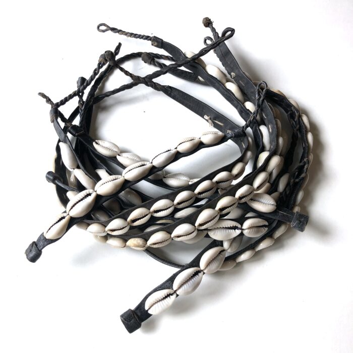 Cowrie Shell Jewelry